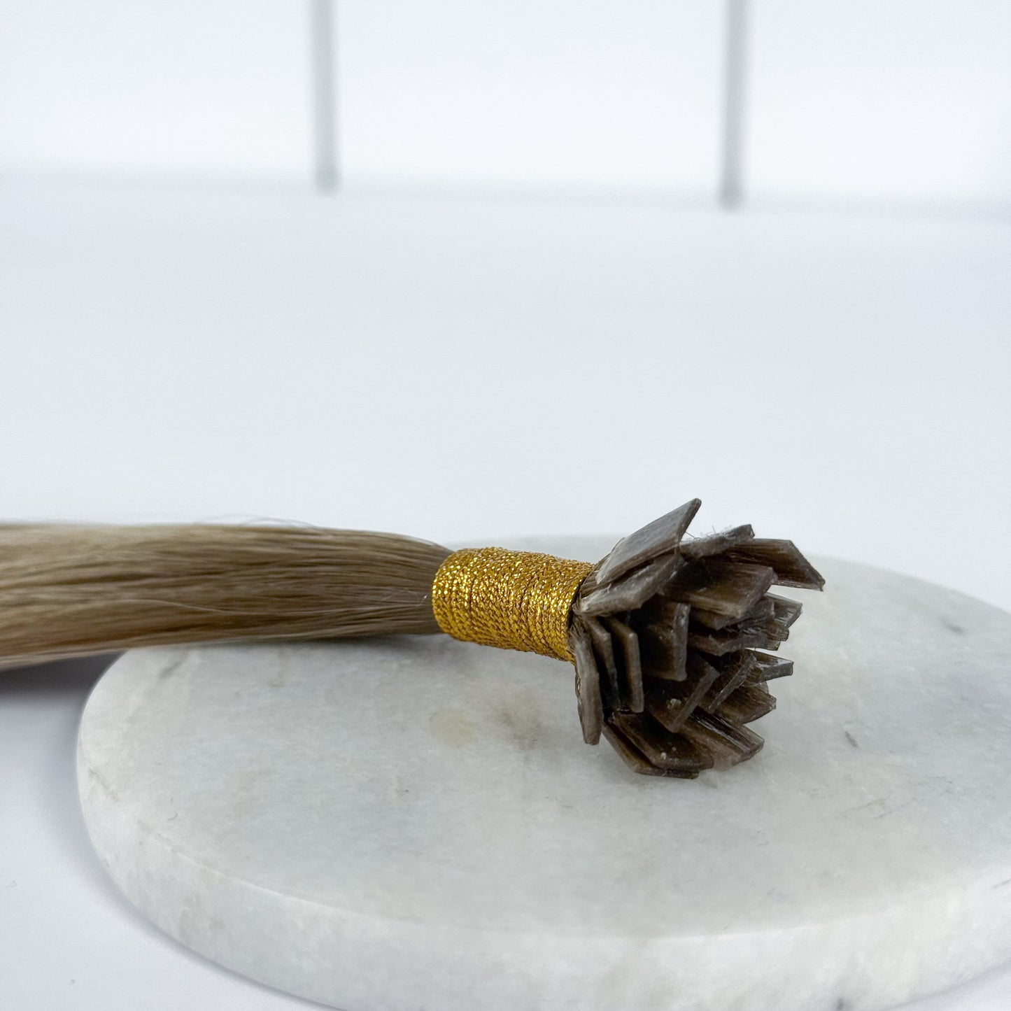T8 8/22 | Effet repousse châtain - méchées châtain & blond doré pâle